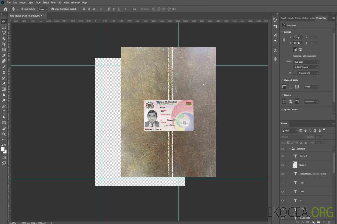 Photolook d'identité de l'Ile Maurice AVANT template